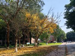 -四川大学(望江校区)