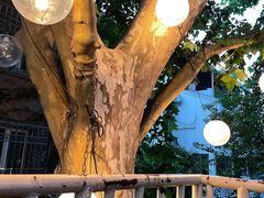 -Ginger(兴国路店)