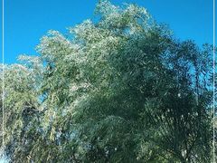 -呷哺呷哺(融创茂店)