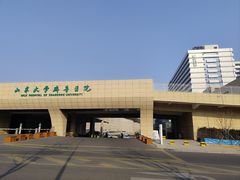 -山东大学齐鲁医院(青岛院区)