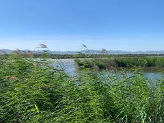 -野鸭湖国家湿地公园