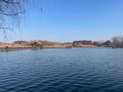 -溱湖国家湿地公园