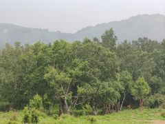-灵山