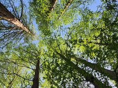 -北京植物园南门售票处