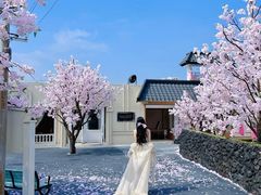 -Blue Concept Cafe&Farm·關於藍