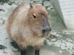 -成都欢乐谷