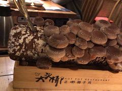 -大头椰·椰子鸡火锅(南宁万象城店)