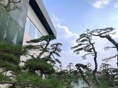 -罗红摄影艺术馆