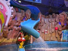 -烟台海昌鲸鲨海洋公园