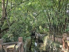 -房湖公园