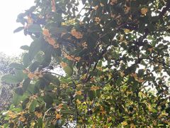 -东坡赤壁风景名胜区