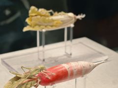 -河南博物院