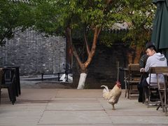 -春风习习