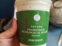 -茉酸奶(春熙路店)