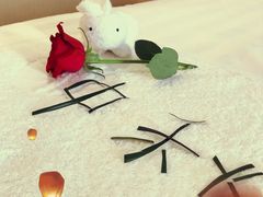 -张家港华芳金陵国际酒店