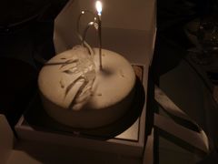 -BLACKSWAN黑天鹅(环球店)