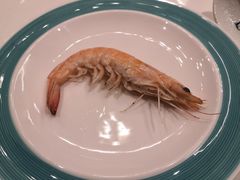 -额尔敦牛厨师铜板烧