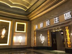 -影汇之星8字形摩天轮
