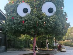 -武汉紫薇都市田园