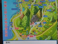 -西霞口神雕山野生动物世界