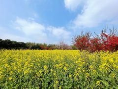 -武汉紫薇都市田园
