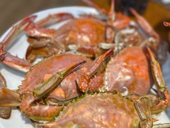 -喜来酌海鲜·饺子(和平一店)