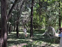 -国家植物园南园