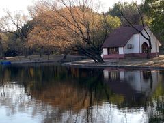 -上海共青森林公园