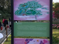 -莲花山公园