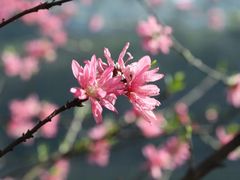 -重庆彩云湖湿地公园
