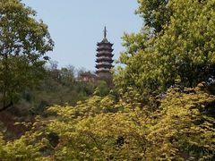 -焦山景区-万佛塔