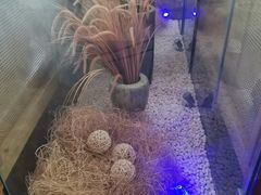 -马仕玖煲·融合菜·酥不腻烤鸭(人大店)