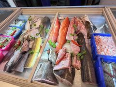 -金砂阿洲鱼册店