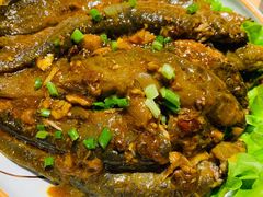 -鸽子窝(青塔店)