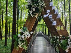 -黄海国家森林公园