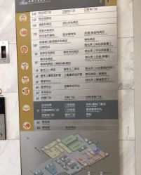 -上海交通大学医学院附属上海儿童医学中心(陆家嘴总院区)