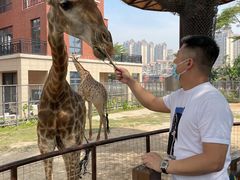 -灵玲国际马戏城