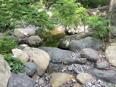 -云岫谷游猎自然风景区