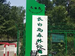 -长白岛森林公园