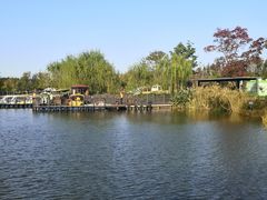 -上海长兴岛郊野公园