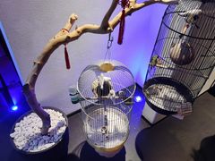 -悦融·京鲁菜·露台花园(安定门店)