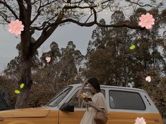 -南沙蒲洲花园