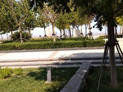 -东疆建设开发纪念公园