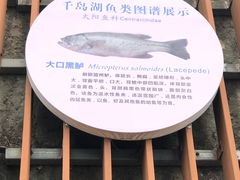 -全乐鱼馆·淳牌有机鱼直营店