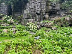 -梭布垭石林景区