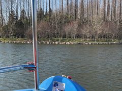 -东平国家森林公园