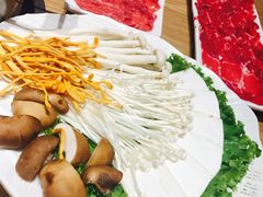 -掂档潮汕牛肉火锅(沈阳万象城店)
