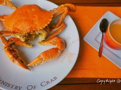黄油蟹-Ministry of Crab(科伦坡店)