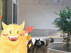 -Husky Go!哈士奇体验馆·宠物咖啡厅狗咖