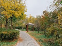 -大港湿地公园